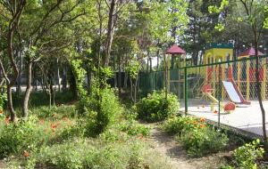010610_morning6.jpg