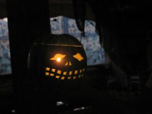 IMG_4084.jpg