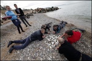 crimeafishing_007.jpg