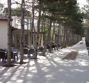 010610_morning7.jpg